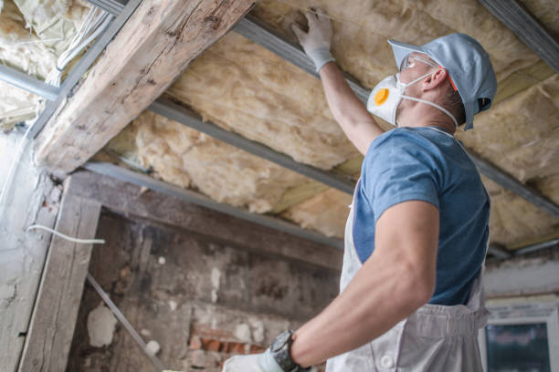 Best Insulation for Specific Applications in Edgard, LA