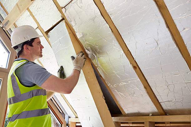 Best Cellulose Insulation in Edgard, LA